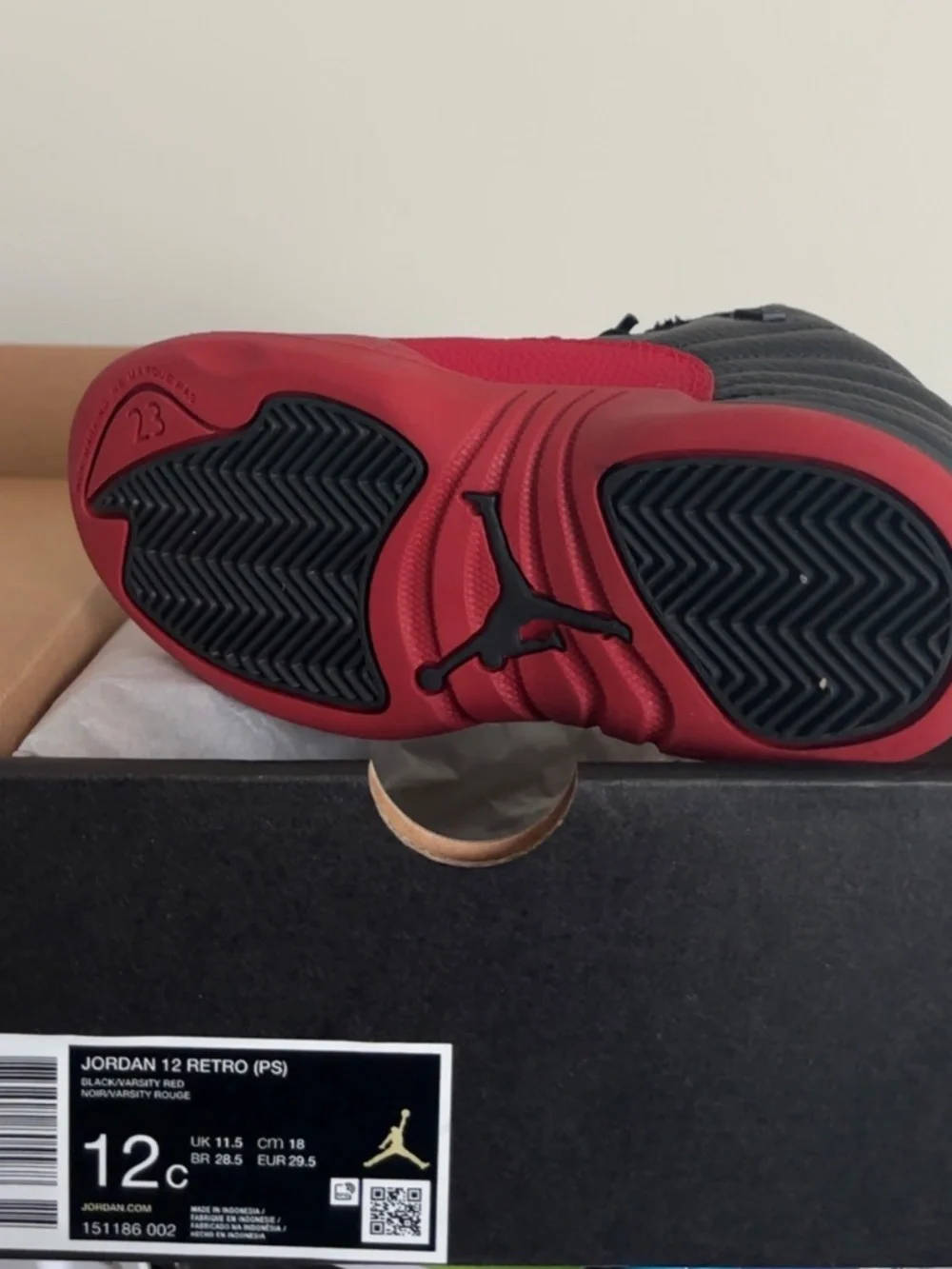 Air Jordan Retro 12